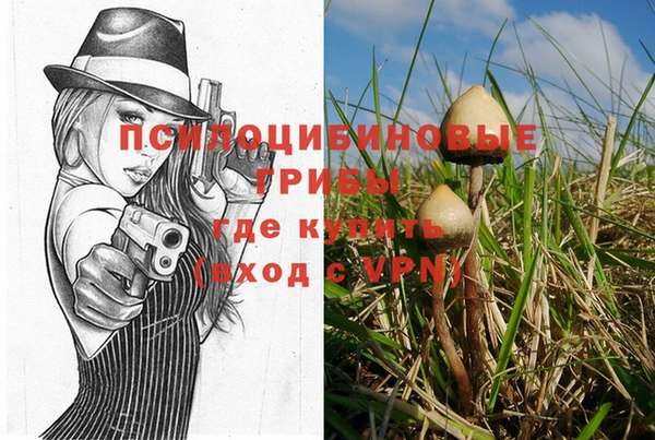 скорость Алзамай